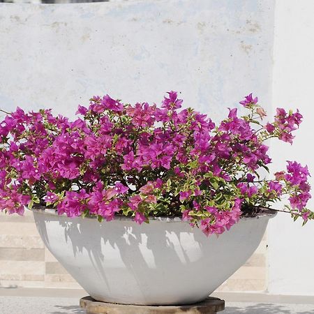 Hotel Casa Cytia Cartagena 外观 照片