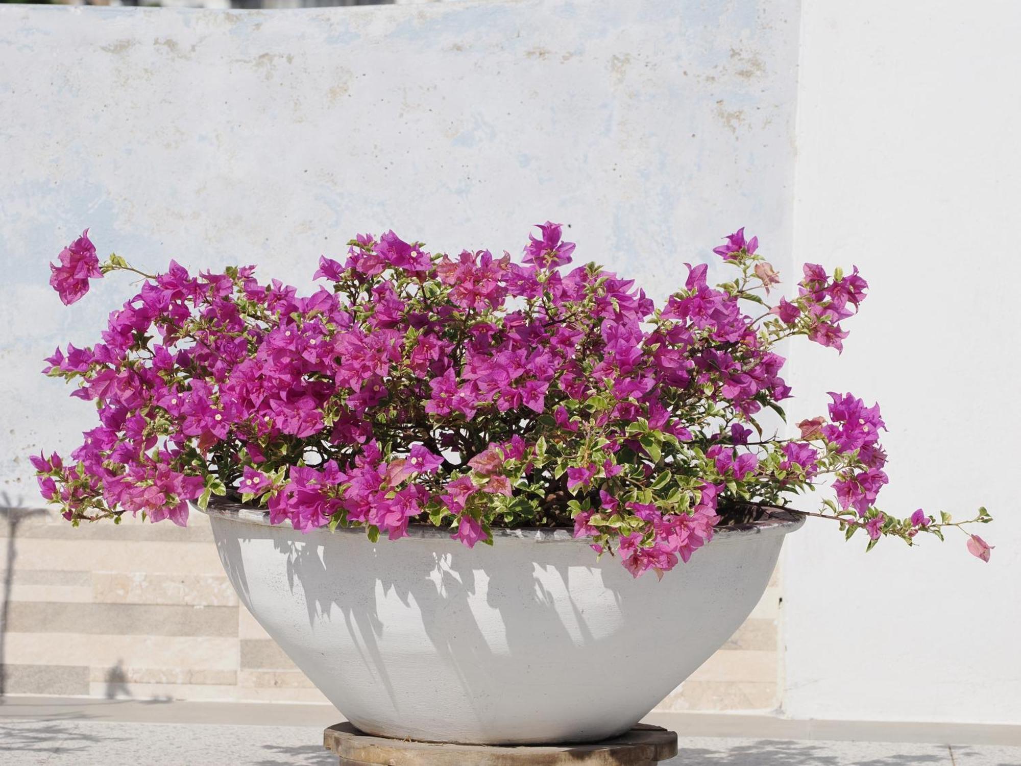 Hotel Casa Cytia Cartagena 外观 照片