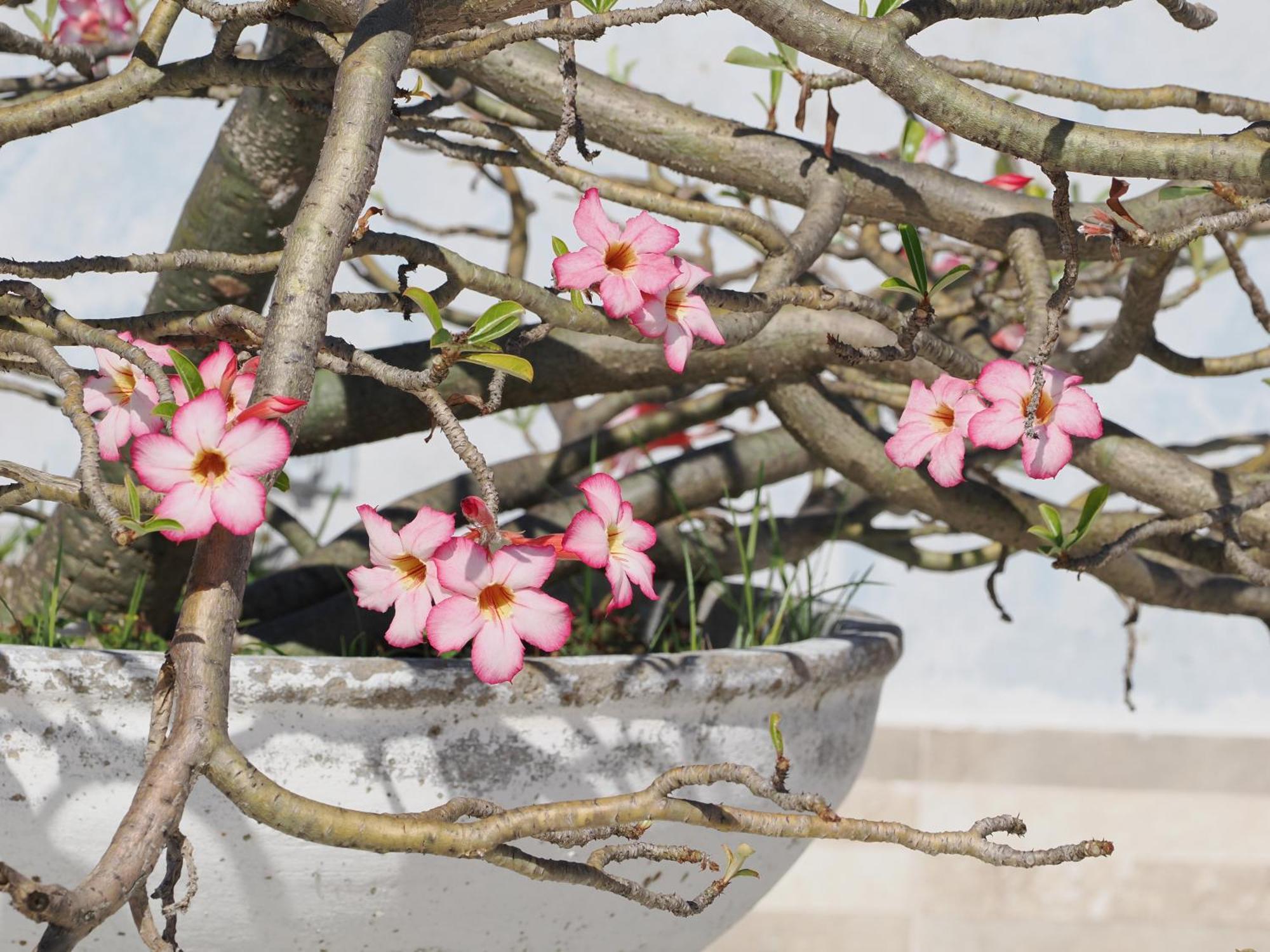 Hotel Casa Cytia Cartagena 外观 照片
