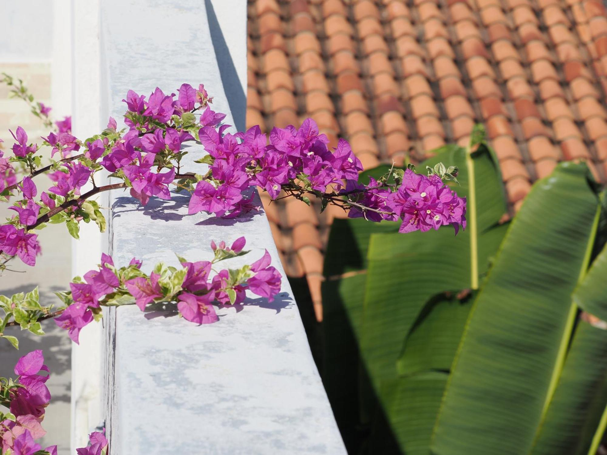 Hotel Casa Cytia Cartagena 外观 照片
