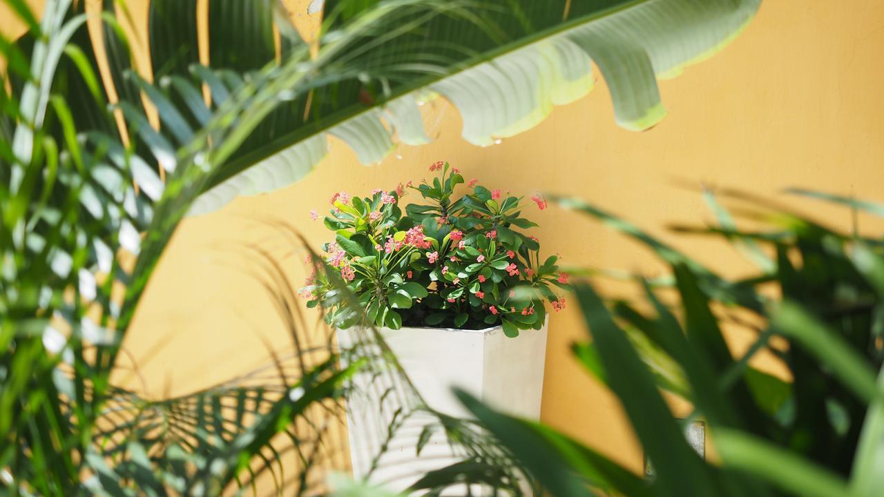 Hotel Casa Cytia Cartagena 外观 照片